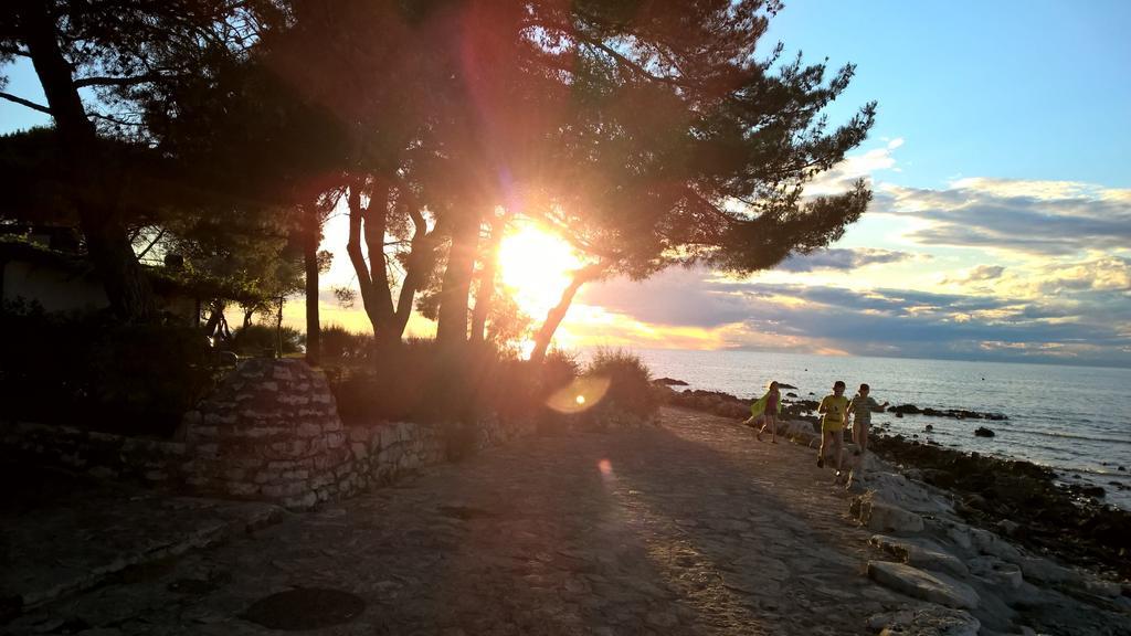 Apartmani Martincic Novigrad Istria Esterno foto